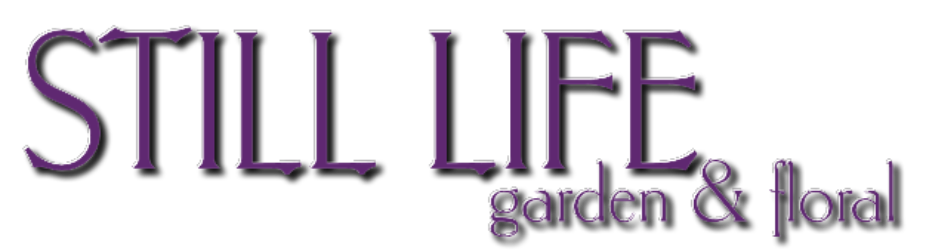 Still-Life Garden & Floral Inc.