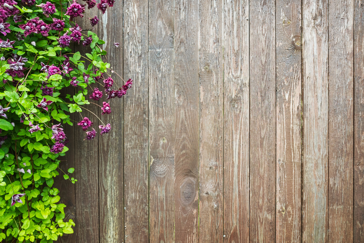 Wooden wall with decorative flowers. Summer garden background photo texture